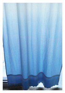 Pheasant Ombre Blue canvas Curtain